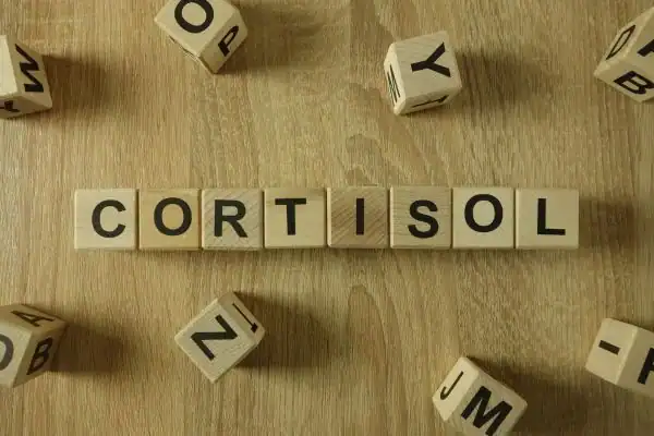 The Hidden Connection: How Stress Shapes Your Fitness and Body Composition 2 Image saying "Cortisol" and how stress Hillingdon impacts your wellbeing and bodies shape